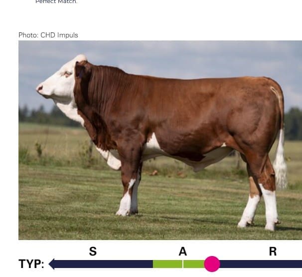 MOBY Pp* bull